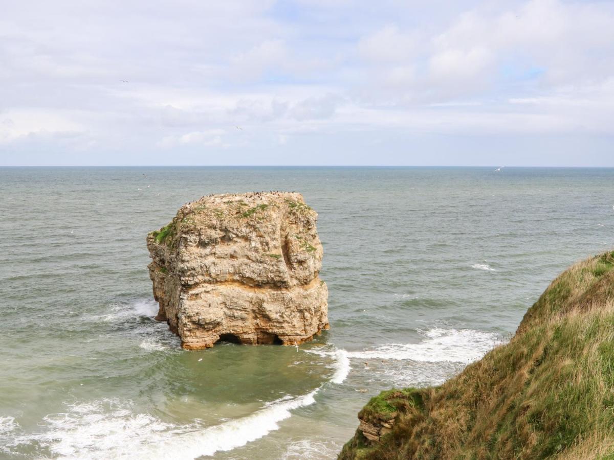 Sea View Cottage Саут Шийлдс Екстериор снимка
